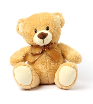 Teddy Bear - Large